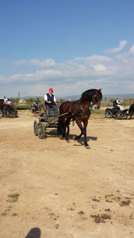 Inicio de la temporada de enganches
